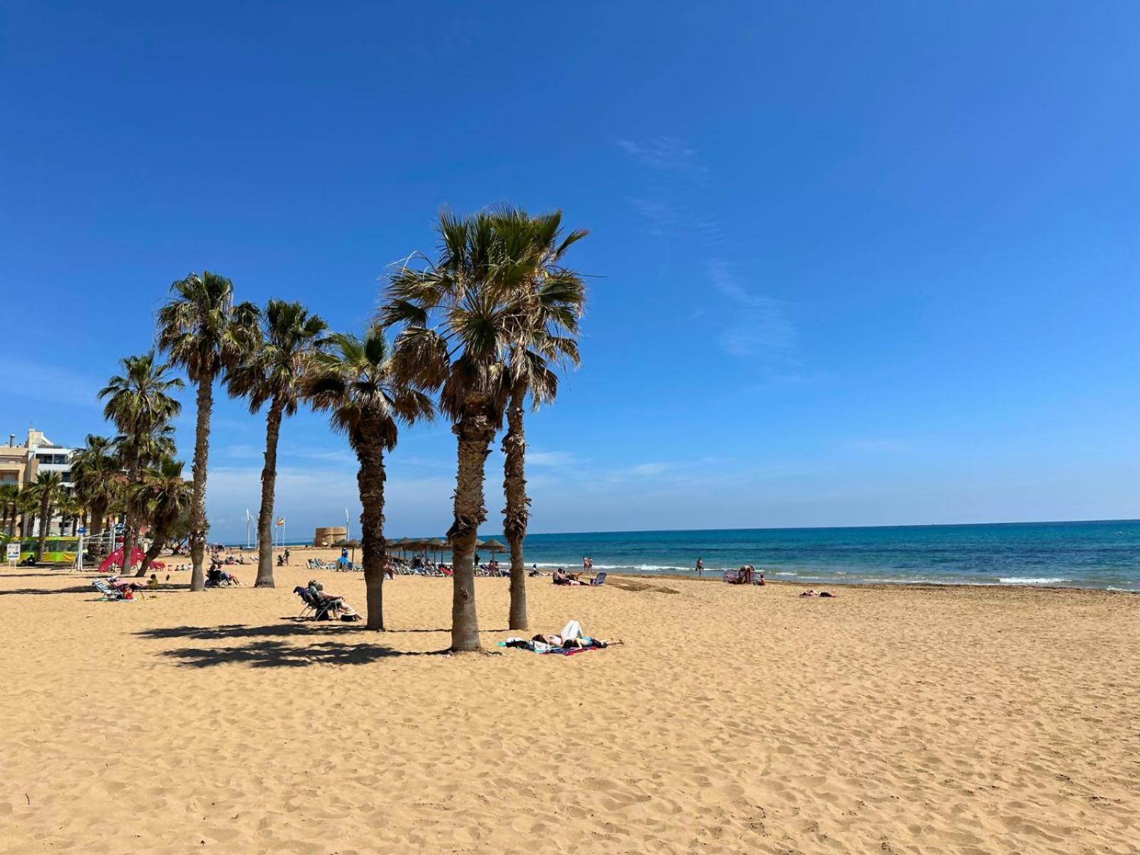 Cipres 4 Apartamento En Urbanizacion Con Piscina Torrevieja Bagian luar foto