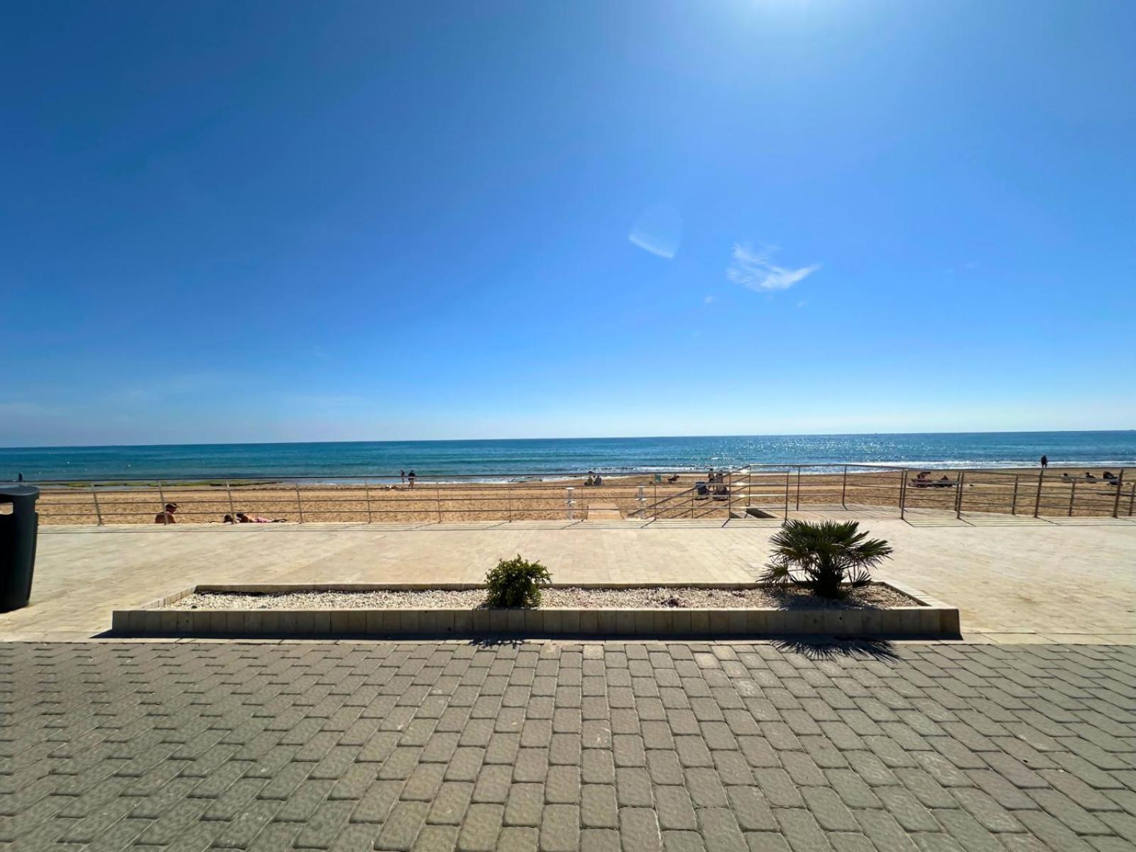 Cipres 4 Apartamento En Urbanizacion Con Piscina Torrevieja Bagian luar foto