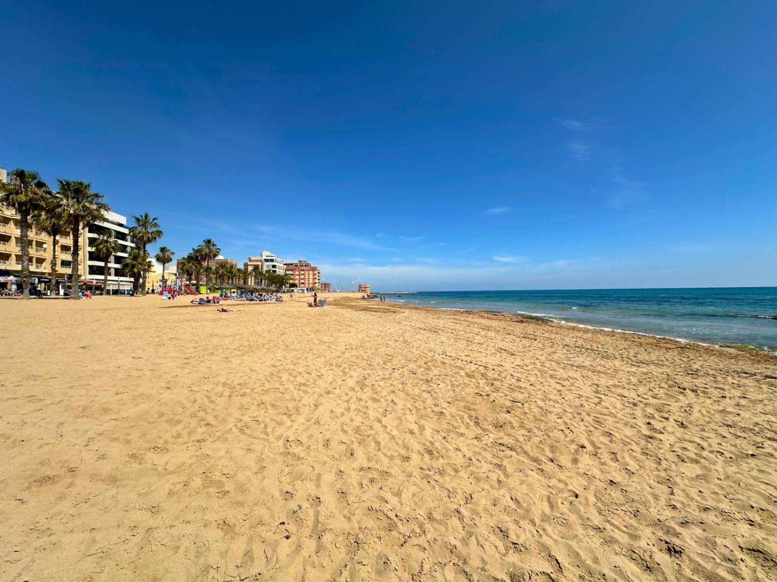 Cipres 4 Apartamento En Urbanizacion Con Piscina Torrevieja Bagian luar foto